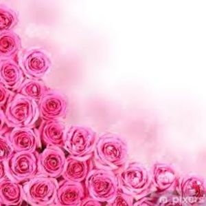 Meet your Posher, Yvette